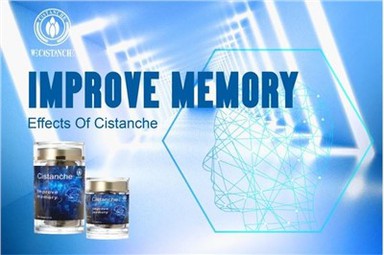 ปรับปรุงหน่วยความจำ ,Cistanche Tubulosa เสริมผล