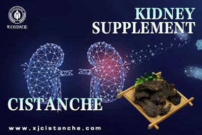 efffect of cistanche efffect of cistanche